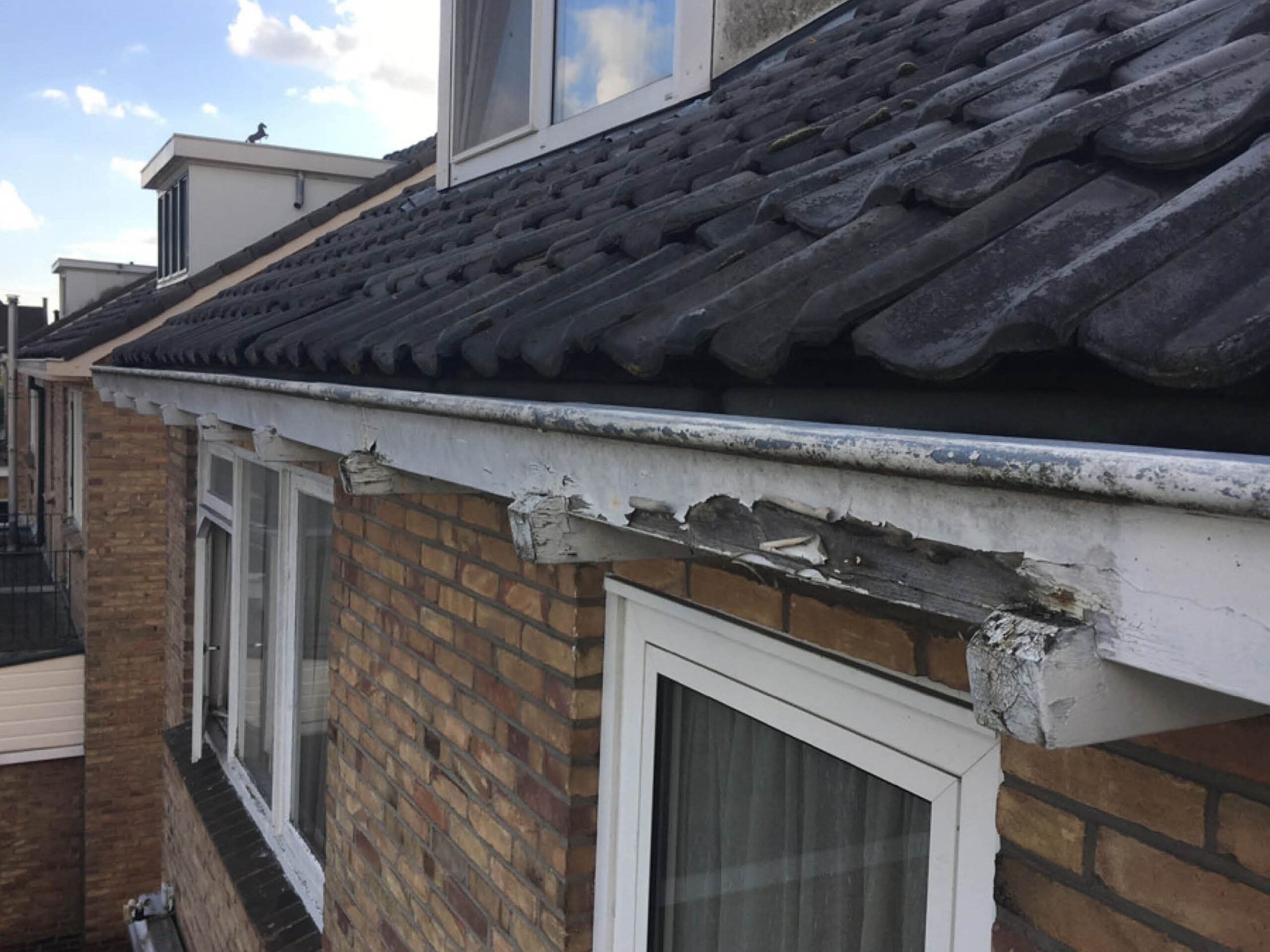 Goot renovatie goed formaat