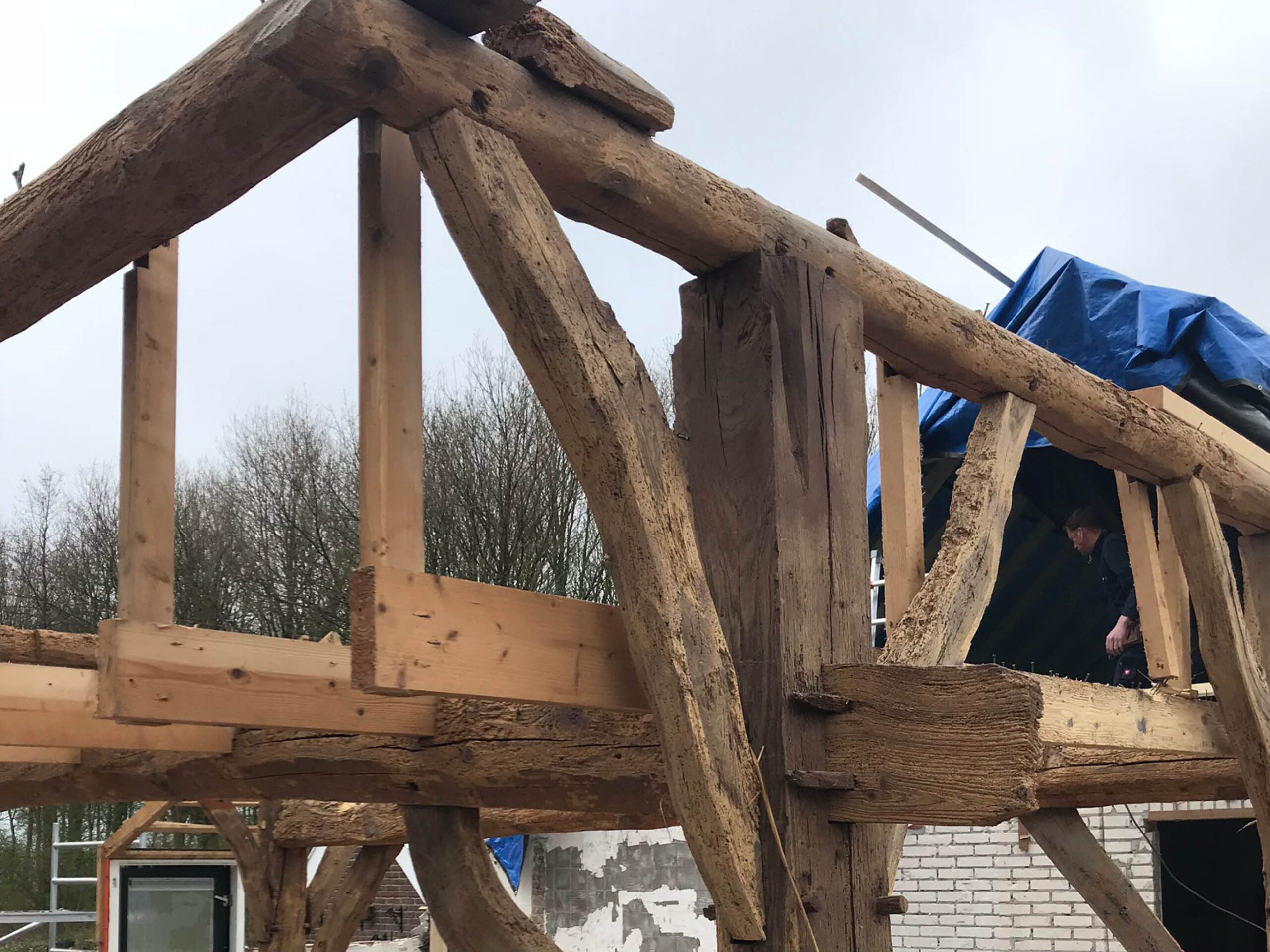 Reinders goed formaat 3